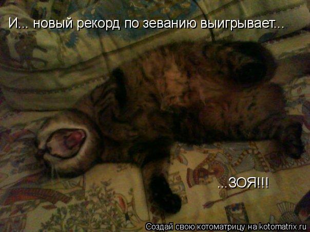 И... новый рекорд по зеванию выигрывает... ...ЗОЯ!!!... Котоматрица: И... новый рекорд по зеванию выигрывает... ...ЗОЯ!!!