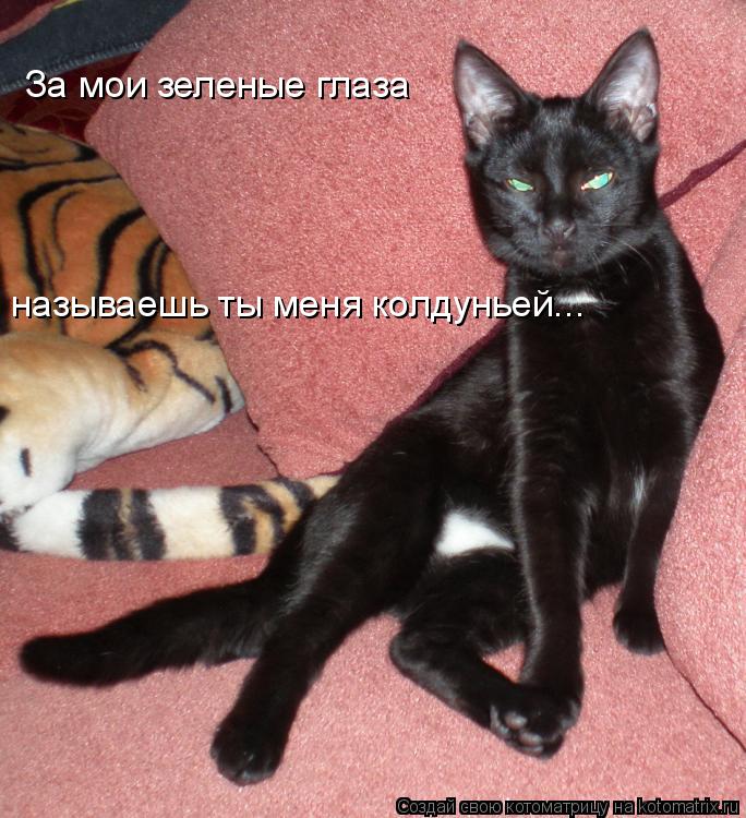 За мои зеленые глаза называешь ты меня колдуньей...... Котоматрица: За мои зеленые глаза называешь ты меня колдуньей...