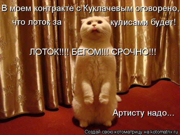 В моем контракте с Куклачевым оговорено, что лоток за кулисами будет! ЛОТОК!!!! БЕГОМ!!! СРОЧНО!!! А... Котоматрица: В моем контракте с Куклачевым оговорено, что лоток за кулисами будет! ЛОТОК!!!! БЕГОМ!!! СРОЧНО!!! Артисту надо...
