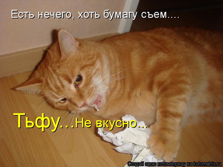Тьфу... Не вкусно... Есть нечего, хоть бумагу съем....... Котоматрица: Тьфу... Не вкусно... Есть нечего, хоть бумагу съем....