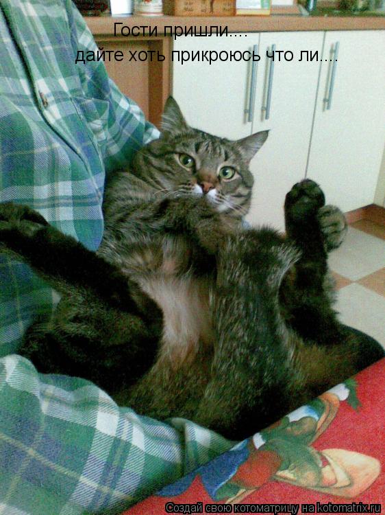 Гости пришли.... дайте хоть прикроюсь что ли....... Котоматрица: Гости пришли.... дайте хоть прикроюсь что ли....