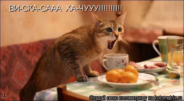 Котоматрица: ВИ-СКА-СААА  ХА-ЧУУУ!!!!!!!!!!