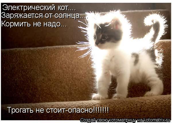 Котоматрица: Электрический кот.... Заряжается от солнца.... Кормить не надо... Трогать не стоит-опасно!!!!!!!
