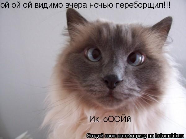 ой ой ой видимо вчера ночью переборщил!!! Ик оООЙй... Котоматрица: ой ой ой видимо вчера ночью переборщил!!! Ик оООЙй