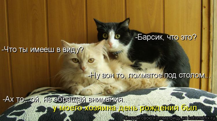 Котоматрица: -Барсик, что это? -Что ты имееш в виду? -Ну вон то, лохматое под столом... -Ах то...ой, не обращай внимания.. у моего хозяина день рождения был