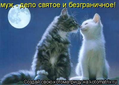 муж - дело святое и безграничное!... Котоматрица: муж - дело святое и безграничное!