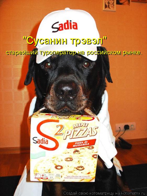 Котоматрица: "Сусанин трэвэл" старейший туроператор на российском рынке.