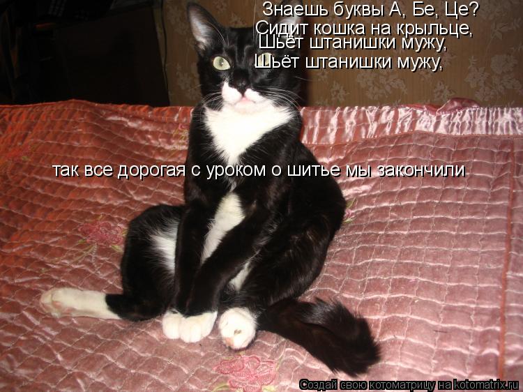 Котоматрица: Знаешь бyквы А, Бе, Це? Сидит кошка на кpыльце, Шьёт штанишки мyжy, Шьёт штанишки мyжy, так все дорогая с уроком о шитье мы закончили