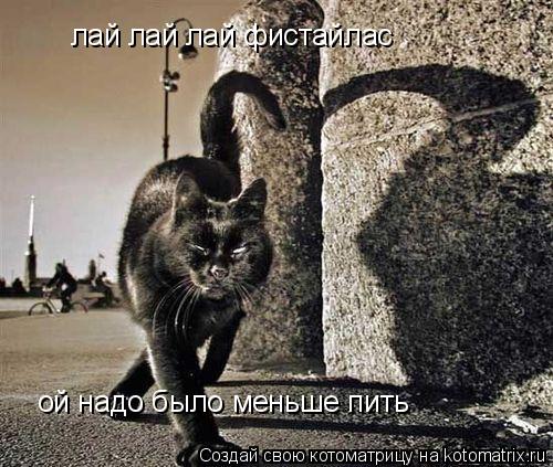 лай лай лай фистайлас ой надо было меньше пить... Котоматрица: лай лай лай фистайлас ой надо было меньше пить
