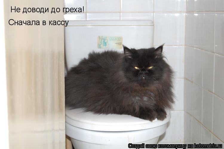 Котоматрица: Не доводи до греха! Сначала в кассу