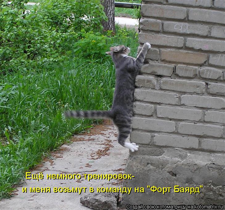 Котоматрица: Ещё немного тренировок- и меня возьмут в команду на "Форт Баярд"