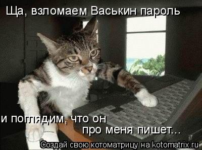 Котоматрица: Ща, взломаем Васькин пароль и поглядим, что он  про меня пишет...