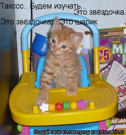 Такссс.. Будем изучать... Это звёздочка....Это шарик Это звёздочка....Это шарик... Котоматрица: Такссс.. Будем изучать... Это звёздочка....Это шарик Это звёздочка....Это шарик