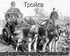 Котоматрица: Тройка