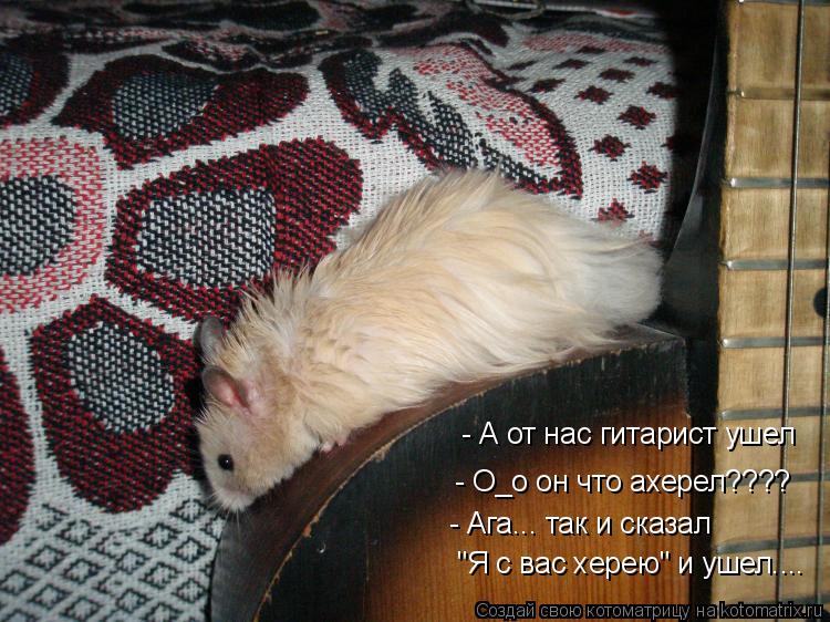 Котоматрица: - А от нас гитарист ушел - О_о он что ахерел???? - Ага... так и сказал  "Я с вас херею" и ушел....
