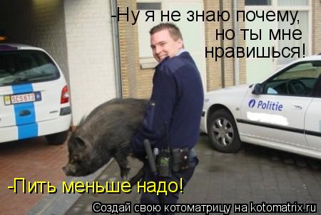 -Ну я не знаю почему, но ты мне нравишься! -Пить меньше надо!... Котоматрица: -Ну я не знаю почему, но ты мне нравишься! -Пить меньше надо!