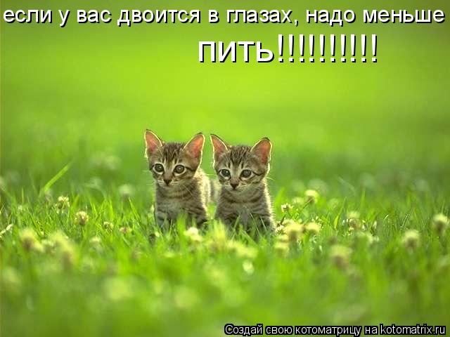 Котоматрица: если у вас двоится в глазах, надо меньше пить!!!!!!!!!!
