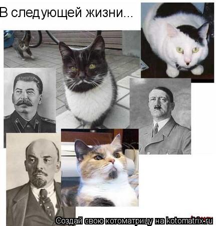 В следующей жизни...... Котоматрица: В следующей жизни...