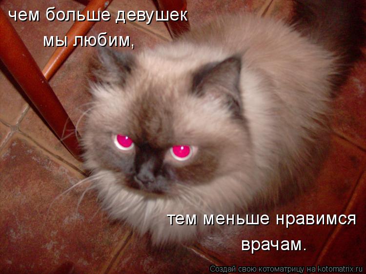 Котоматрица: чем больше девушек мы любим, тем меньше нравимся врачам.