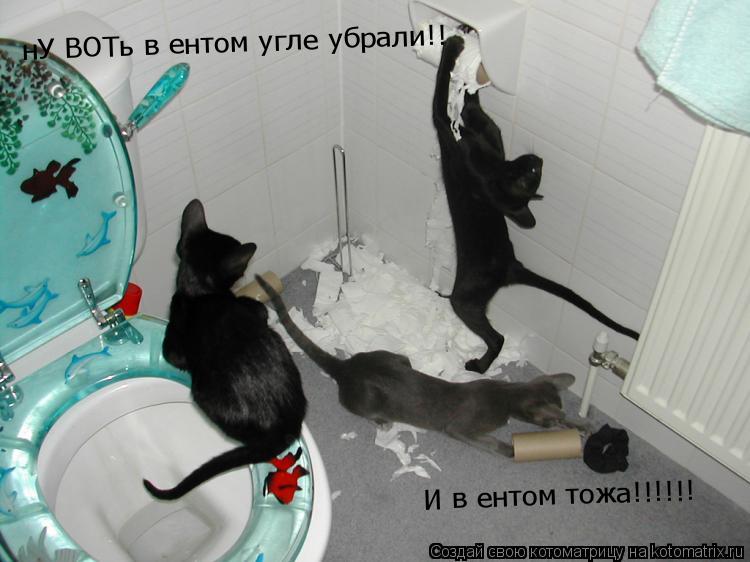 нУ ВОТь в ентом угле убрали!! И в ентом тожа!!!!!!... Котоматрица: нУ ВОТь в ентом угле убрали!! И в ентом тожа!!!!!!