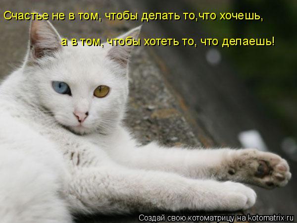 Счастье не в том, чтобы делать то,что хочешь, а в том, чтобы хотеть то, что делаешь!... Котоматрица: Счастье не в том, чтобы делать то,что хочешь, а в том, чтобы хотеть то, что делаешь!