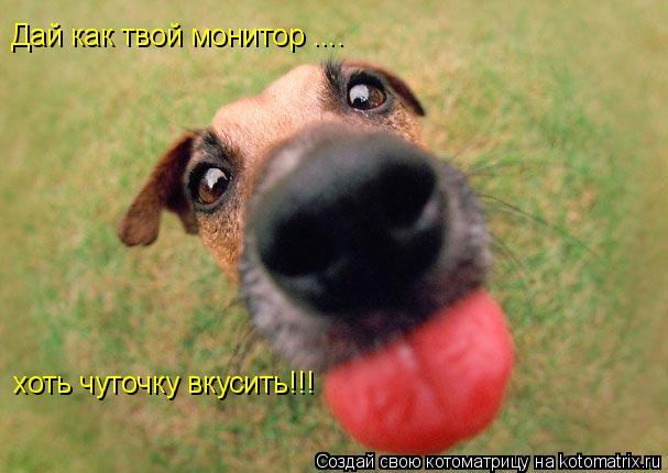 Котоматрица: Дай как твой монитор .... хоть чуточку вкусить!!!
