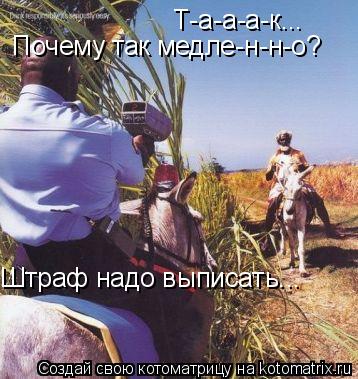 Котоматрица: Т-а-а-а-к... Почему так медле-н-н-о? Штраф надо выписать...