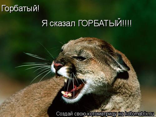 Горбатый! Я сказал ГОРБАТЫЙ!!!!... Котоматрица: Горбатый! Я сказал ГОРБАТЫЙ!!!!