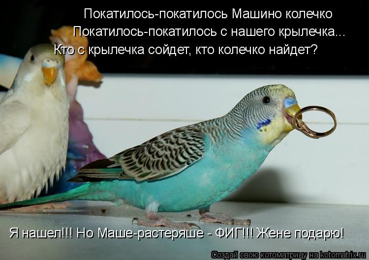 Покатилось-покатилось Машино колечко Покатилось-покатилось с нашего крылечка... Кто с крылечка сойдет... Котоматрица: Покатилось-покатилось Машино колечко Покатилось-покатилось с нашего крылечка... Кто с крылечка сойдет, кто колечко найдет? Я нашел!!! Но Маше