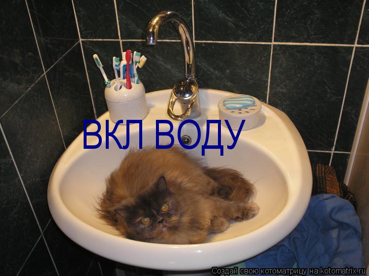 ВКЛ ВОДУ... Котоматрица: ВКЛ ВОДУ