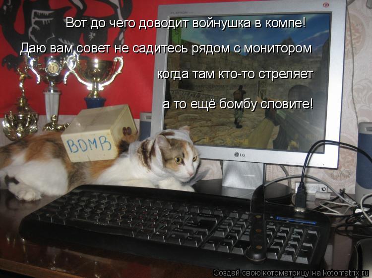Вот до чего доводит войнушка в компе! Даю вам совет не садитесь рядом с монитором когда там кто-то ст... Котоматрица: Вот до чего доводит войнушка в компе! Даю вам совет не садитесь рядом с монитором когда там кто-то стреляет а то ещё бомбу словите!