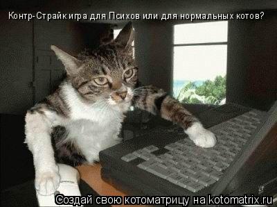 Котоматрица: Контр-Страйк игра для Психов или для нормальных котов?