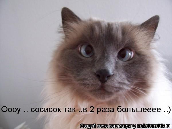 Оооу .. сосисок так ..в 2 раза большееее ..)... Котоматрица: Оооу .. сосисок так ..в 2 раза большееее ..)