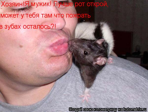 Хозяин! Я мужик! Лучше рот открой, может у тебя там что пожрать в зубах осталось?! Хозяин! может у т... Котоматрица: Хозяин! Я мужик! Лучше рот открой, может у тебя там что пожрать в зубах осталось?! Хозяин! может у тебя там что пожрать Я мужик! Лучше рот откр