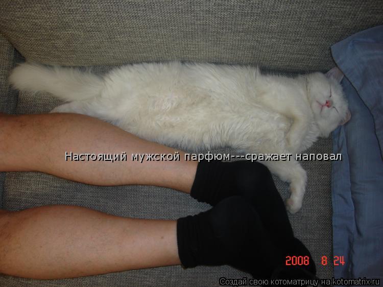 Настоящий мужской парфюм---сражает наповал... Котоматрица: Настоящий мужской парфюм---сражает наповал