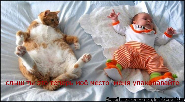 слыш ты это теперь моё место меня упаковавайте слыш ты это теперь моё место меня упаковавайте... Котоматрица: слыш ты это теперь моё место меня упаковавайте слыш ты это теперь моё место меня упаковавайте