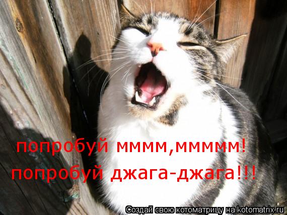 попробуй мммм,ммммм! попробуй джага-джага!!!... Котоматрица: попробуй мммм,ммммм! попробуй джага-джага!!!