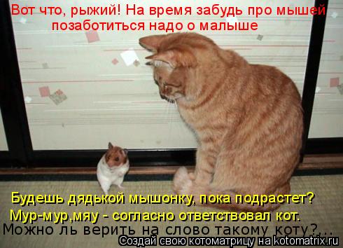 Вот что, рыжий! На время забудь про мышей позаботиться надо о малыше Можно ль верить на слово такому ... Котоматрица: Вот что, рыжий! На время забудь про мышей позаботиться надо о малыше Можно ль верить на слово такому коту?... Будешь дядькой мышонку, пока под