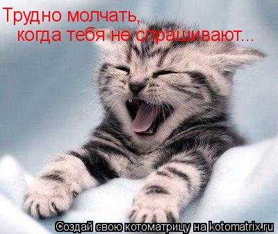 Трудно молчать, когда тебя не спрашивают...... Котоматрица: Трудно молчать, когда тебя не спрашивают...