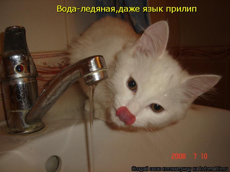 Вода-ледяная,даже язык прилип... Котоматрица: Вода-ледяная,даже язык прилип