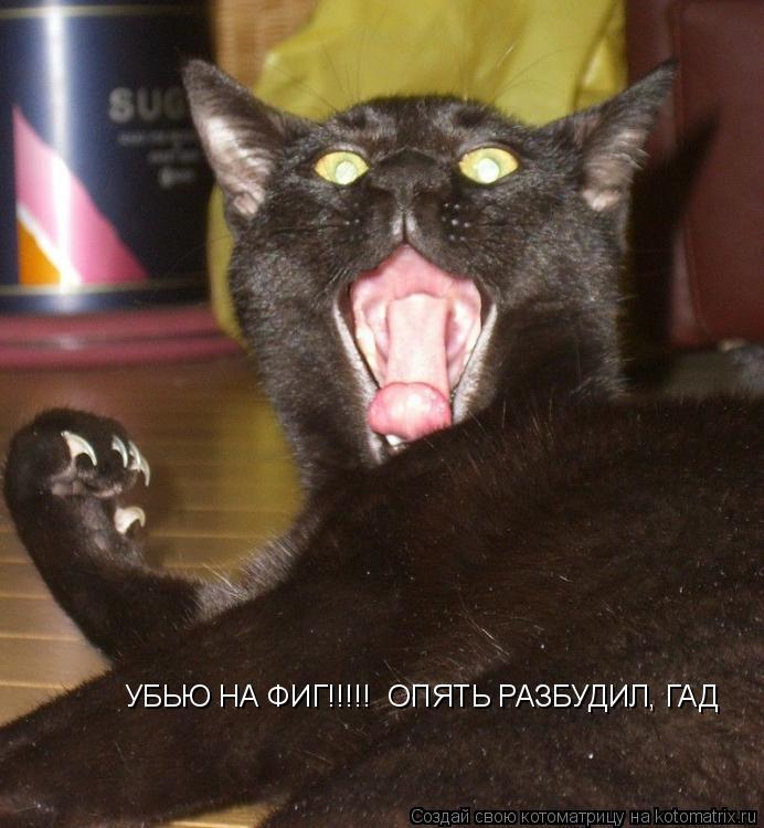 УБЬЮ НА ФИГ!!!!! ОПЯТЬ РАЗБУДИЛ, ГАД... Котоматрица: УБЬЮ НА ФИГ!!!!! ОПЯТЬ РАЗБУДИЛ, ГАД