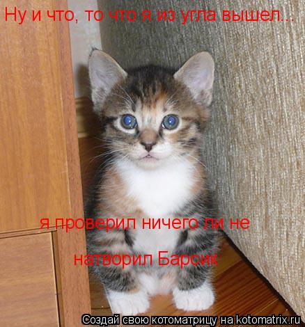 Ну и что, то что я из угла вышел... я проверил ничего ли не натворил Барсик... Котоматрица: Ну и что, то что я из угла вышел... я проверил ничего ли не натворил Барсик
