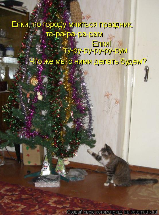 та-ра-ра-ра-рам Елки! ту-ру-ру-ру-ру-рум Что же мы с ними делать будем? Елки, по городу мчиться празд... Котоматрица: та-ра-ра-ра-рам Елки! ту-ру-ру-ру-ру-рум Что же мы с ними делать будем? Елки, по городу мчиться праздник.