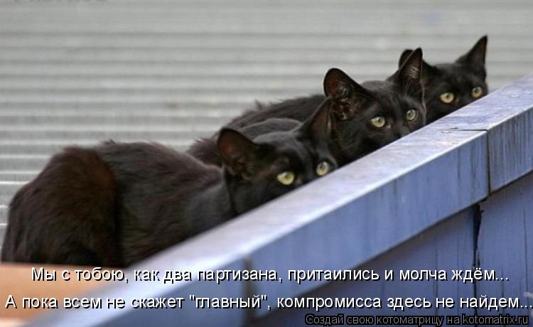 Мы с тобою, как два партизана, притаились и молча ждём... А пока всем не скажет "главный", компромис... Котоматрица: Мы с тобою, как два партизана, притаились и молча ждём... А пока всем не скажет "главный", компромисса здесь не найдем...