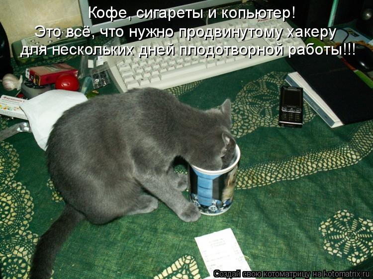 Кофе, сигареты и копьютер! Это всё, что нужно продвинутому хакеру для нескольких дней плодотворной ра... Котоматрица: Кофе, сигареты и копьютер! Это всё, что нужно продвинутому хакеру для нескольких дней плодотворной работы!!!