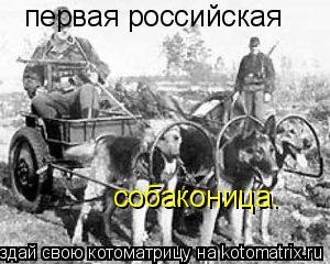 Котоматрица: первая российская собаконица.