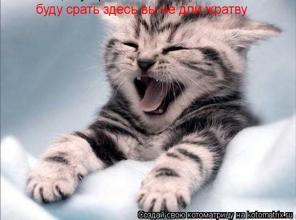 Котоматрица: буду срать здесь вы не дли жратву