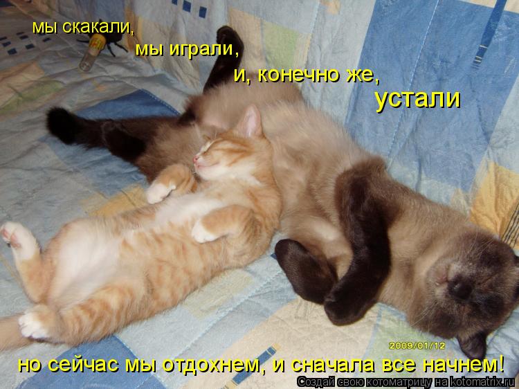 мы скакали, мы играли, и, конечно же, устали но сейчас мы отдохнем, и сначала все начнем!... Котоматрица: мы скакали, мы играли, и, конечно же, устали но сейчас мы отдохнем, и сначала все начнем!