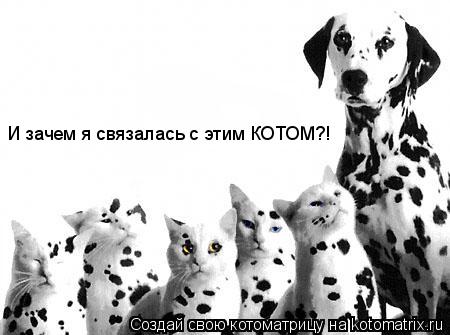 И зачем я связалась с этим КОТОМ?!... Котоматрица: И зачем я связалась с этим КОТОМ?!