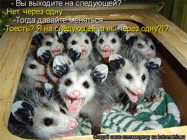 - Нет, через одну. - Вы выходите на следующей? -Тогда давайте меняться... -Тоесть? Я на следующей, а ... Котоматрица: - Нет, через одну. - Вы выходите на следующей? -Тогда давайте меняться... -Тоесть? Я на следующей, а вы через одну?!?